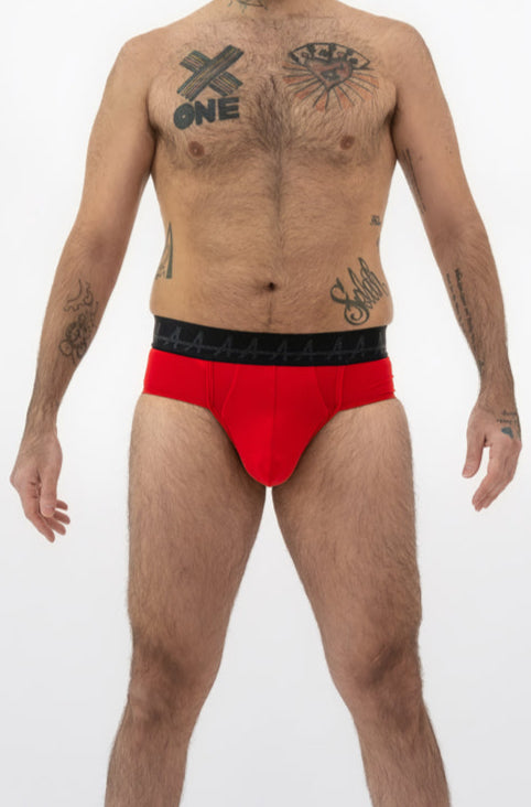 The Everyday Brief
