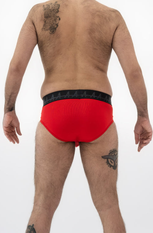 The Everyday Brief