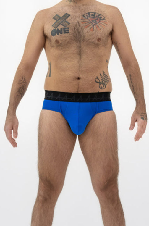The Everyday Brief