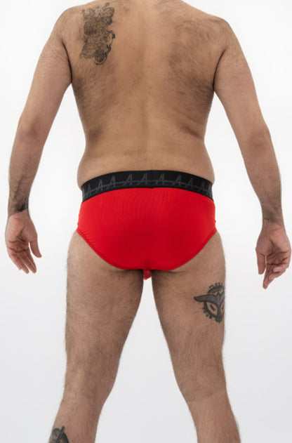 The Everyday Brief